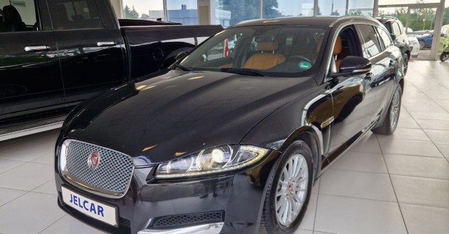 jaguar