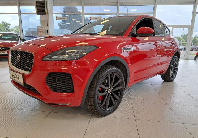 jaguar