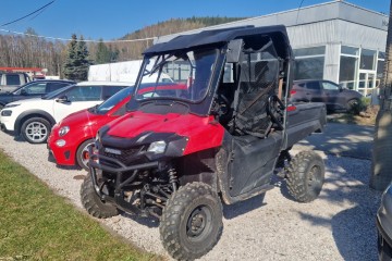 Quad Buggy Honda Pioneer